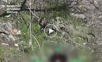 Буковинські десантники знищили особовий склад із елітних з'єднань противника в Курській області