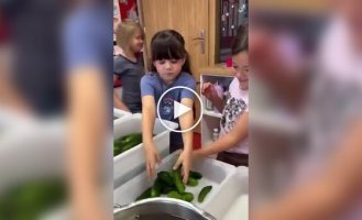 Чему учат детей в польских детсадах
