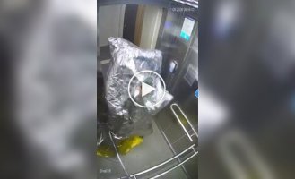 Лифтовый вредитель
