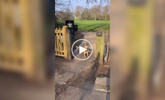 Когда ты маленький и при этом еще и умный