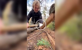 Дерев'яні техно-рейви