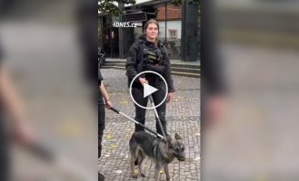 В Праге закрыли целую линию метро из-за забежавшего в тоннель щенка