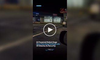 Робопси почали патрулювати паркування в США