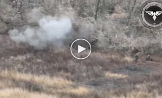 Ukrainian M2A2 Bradley infantry fighting vehicle, supported by FPV drones, destroys Russian infantry near Avdiivka