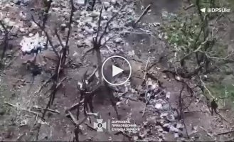 Border guards destroyed about a dozen positions of the invaders