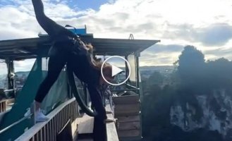 Beautiful bungee jumping in slow-mo