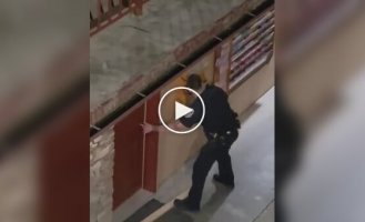 Дикий медведь забаррикадировался в ванной в отеле в Теннесси
