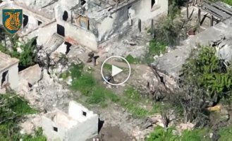Joint work of the 36th and 35th marine brigades to destroy the mortar group of Russians