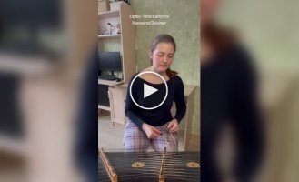 Знаменитую «Hotel California» сыграли на цимбалах