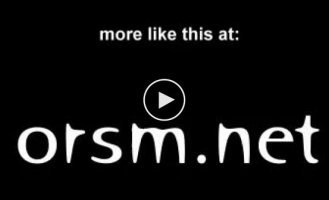 Птичка-шпион, которой не страшен даже рядом стоящий тигр