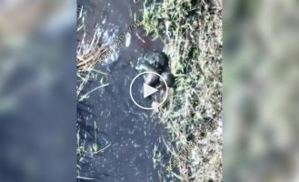 In the Donetsk direction, the enemy began to use divers to penetrate the sabotage and reconnaissance groups: they were eliminated