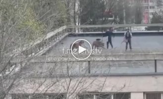 People scared the inhabitants of Stavropol with tigers on the roof of the circus