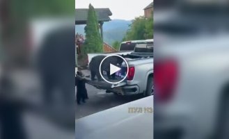 Ограбление средь бела дня в США