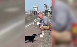 A man sits near the embankment every day and hands out dog treats