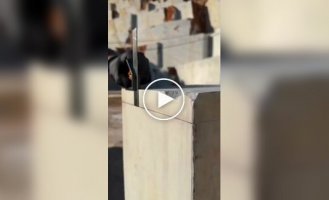 Mesmerizing art of working with stone