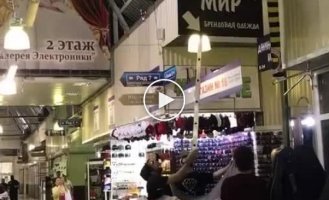 Спасение кота