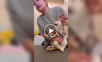 Дерзкое нападение
