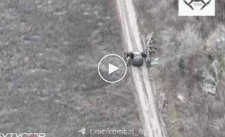 Wild hornets destroy Russians who are evacuating