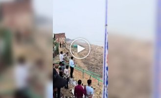 Массовое гнездование морских черепах в штате Одиша в Индии