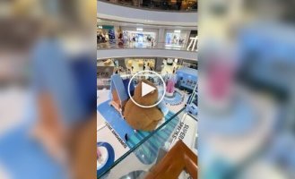 Кошка нашла для себя идеальную лежанку