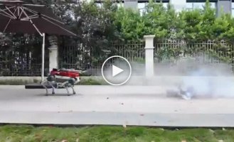 Firefighting robot dog