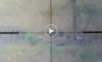 Ukrainian sniper fires at Russian infantry in the southern direction