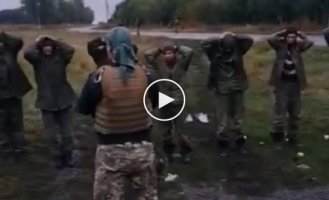A selection of videos with prisoners and those killed in Ukraine. Issue 15