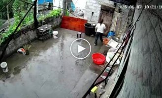 Famous Chinese quality