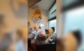 Любитель кошек «котифицировал» свой дом