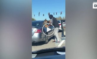 A motorist decided to introduce his puppy to a shepherd dog leaning out of the window