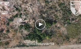 The body of an occupier flies out of the bushes and rises high into the air after being dropped by a drone