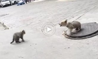 Розумний не по рокам