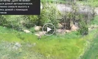 Двое оккупантов, выбежавших из лесополосы, попадают под удар кассетным боеприпасом