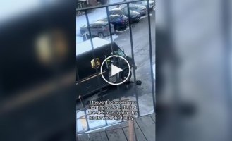 Courier runs from turkeys