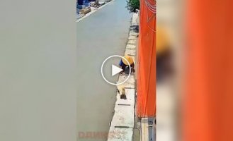 The dog tested the strength of the worker’s nerves