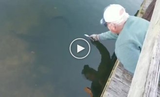 Пожилой рыбак голыми руками поймал 8-килограммового большеротого окуня