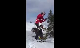 Жестокое нападение на лыжника
