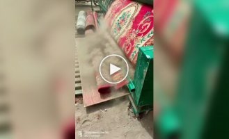 Machine for removing dust from carpets