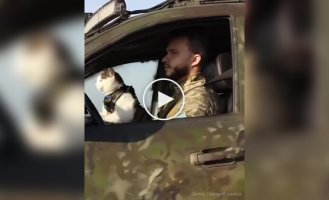 Ukrainian military man and his cat