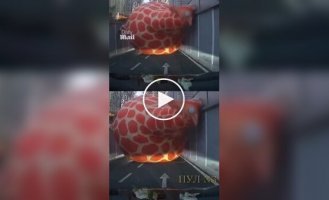 An inflatable giraffe blocked Tunnel in China