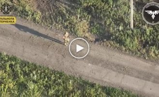 The Ukrainian UAV battalion of the 47th mechanized brigade eliminated an unsuspecting occupier, direction Avdeevka