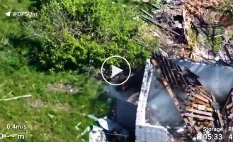Прикордонники знищили 2 міномети, пункт управління БПЛА та піхоту ворога на Харківському напрямку