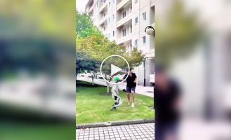 Подборка приколов с роботами