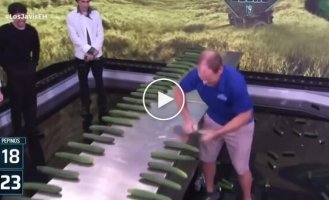 Американец установил странный рекорд