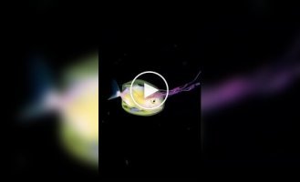 Фотограф заснял рыбу внутри медузы