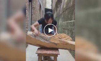 Impressive diorama