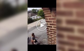 Собака выхватила бургер из рук хозяйки