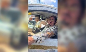 Когда золото и стразы становятся образом жизни