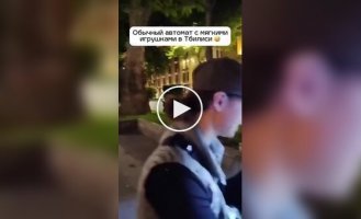 Кот залез в автомат с мягкими игрушками