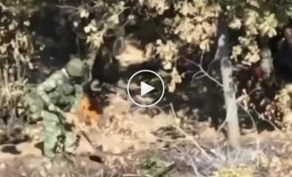 Ukrainian drone drops grenades on Russian military positions in Luhansk region